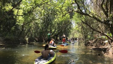 Passeio no Rio Maciambu